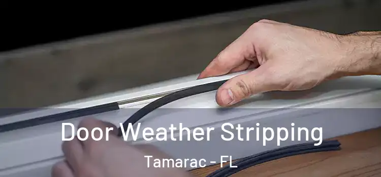Door Weather Stripping Tamarac - FL