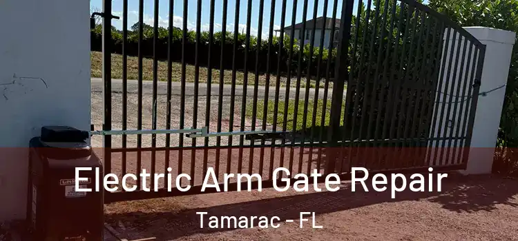 Electric Arm Gate Repair Tamarac - FL