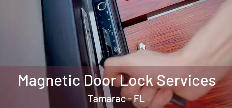 Magnetic Door Lock Services Tamarac - FL